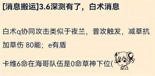 原神白术最新爆料视频,神秘术士觉醒，神秘力量即将揭晓