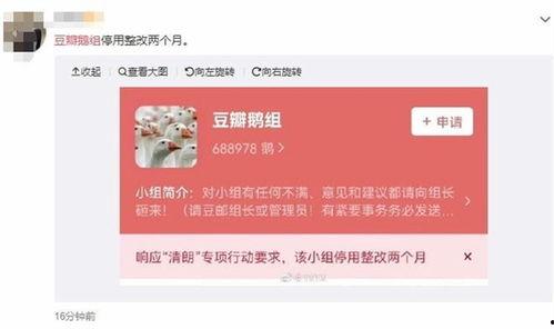 最新员工八卦爆料事件,员工爆料事件大揭秘