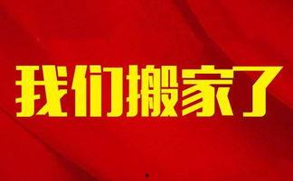 梅城新闻头条爆料视频,独家爆料视频揭秘惊人内幕